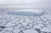 Tabular Iceberg surrounded by 8/10th summer sea ice. The Davis Sea. Antarctica.