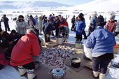 Inuit from Arctic Bay gather out on the ice for an Easter feast of Arctic Char & seal meat. Baffin Island, Nunavut, Canada. 2005