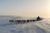 Inuk and dog sled cross sea ice of Foxe Basin while wind drift snakes across the ice. Igloolik, Nunavut, Canada. 1993