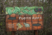 Handcarved wooden sign at the Charles Darwin Research Station. Puerto Ayora. Santa Cruz, Galapagos