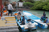 Local fishermen unload their catch in Puerto Ayora fish market, Santa Cruz, The Galapagos Islands