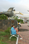Visitor sits reading under the huge waved albatross on the seafront Puerto Ayora, Santa Cruz. Galapagos