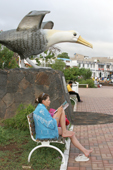 Visitor sits reading under the huge waved albatross on the seafront Puerto Ayora, Santa Cruz. Galapagos