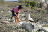 Visitor approaches a Nazca Booby on a rock. Punta Suarez, Espanola, Galapagos Islands