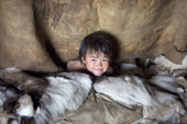 After waking up in the morning, Yaroslava Votgyrgina, a Chukchi girl, sticks her head out of the polog (sleeping area) in a Yaranga (tent) at a reindeer herders' summer camp. Iultinsky District, Chukotka, Siberia, Russia