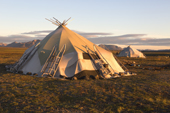 Two Chukchi Yarangas (traditional tents) in evening sunlight at a reindeer herder's summer camp. Iultinsky District, Chukotka, Siberia, Russia.