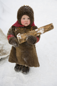 Yana Nogo, a 2 year old Komi girl helps to carry firewood at her family's winter camp. Yamal, Northwest Siberia, Russia