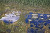 Aerial view of tundra, lakes & boreal forest in the Purovsky Region of the Yamal. Western Siberia, Russia