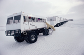 Polar Bear watched by tourists investigates a Tundra Buggy. C. Churchill, Canada