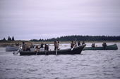 Cree hunters meet up in canoes to discuss tactics on an autumn goose hunt in James Bay, N.Quebec, Canada. 1988
