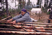 A Cree woman, Elizabeth Brien, preparing to smoke white fish on racks at a camp. Quebec, Canada. 1988