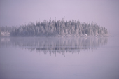 Trees on an island on a frosty morning with mist. Boreal Forest. Lake Bourinot Quebec. Canadian subarctic. 1988