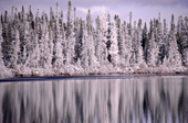 Snow covered Boreal Forest reflected in the waters of Lake Bourinot. Quebec. Canada. 1988
