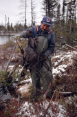 Cree trapper, Abel Brien, removes a beaver he has caught from a trap. Quebec, Canada. 1988