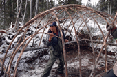 Abel Brien, a Cree hunter helped by his wife, Elizabeth, contructing framework of a traditional winter tent. N. Quebec, Canada. 1988