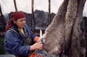 Cree woman, Elizabeth Brien, cuts fur from a caribou skin that will be used for snowshoes. Quebec, Canada. 1988