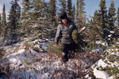 Abel Brien, a Cree hunter with a small spruce tree. Sub-Arctic, Quebec, Canada. 1988