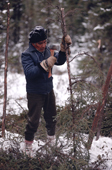 Billy Edwards, an elderly Cree trims a larch pole with his axe. Quebec. Canada. 1988