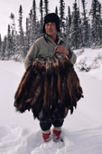 Cree trapper, Abel Brien, with pelts of autumn catch of Pine Martens. Sub-Arctic, Quebec, Canada. 1988