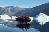 Tourist zodiac cruises amongst icebergs in Fhn Fiord, Scoresbysund Fiord. East Greenland. 2005