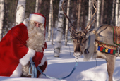 Santa Claus with his reindeer, Rovaniemi, Finland. 1996
