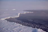 The floe edge in winter with newly formed ice flowers. Melville Bay. N.W.Greenland. 1986