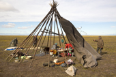 Nenets reindeer herders take down their tent before a day's travel on their autumn migration. Yamal Peninsula, NW Siberia, Russia