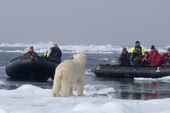 Tourists in zodiacs watch a polar bear in the Polar pack ice north of Svalbard, 2006. Print size to A4.(8 x 11.5 inches)