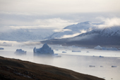 Autumn mists and icebergs. Stor , Rdefjord, Scoresbysund. East Greenland.