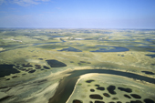 Tundra, Aulavik National Park, patterned ground and tundra ponds. Northern Banks Island, NWT, Arctic Canada